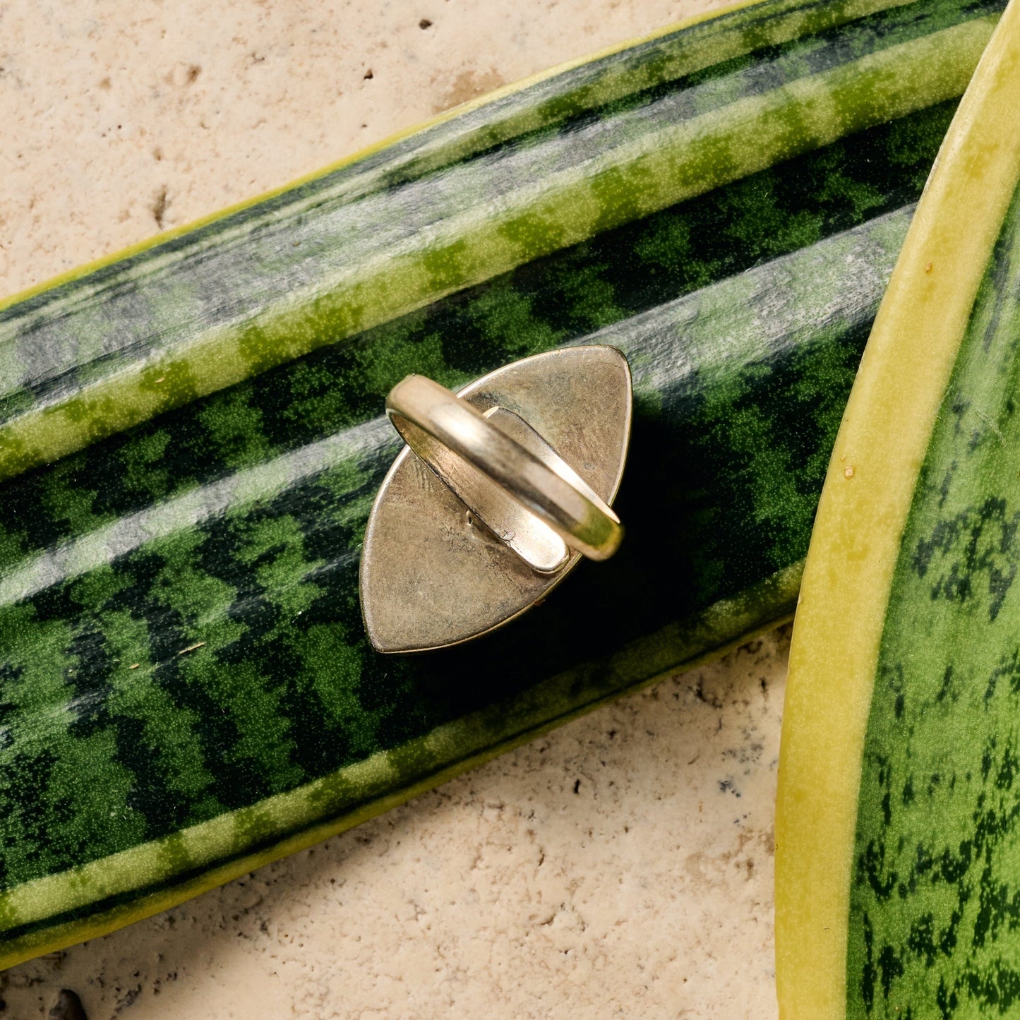 Amkha Silver & Turquoise Ring