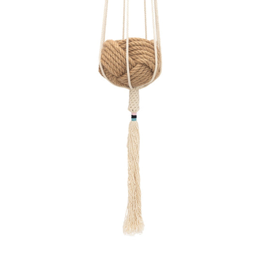 The Dignity Plant Hanger - Blush