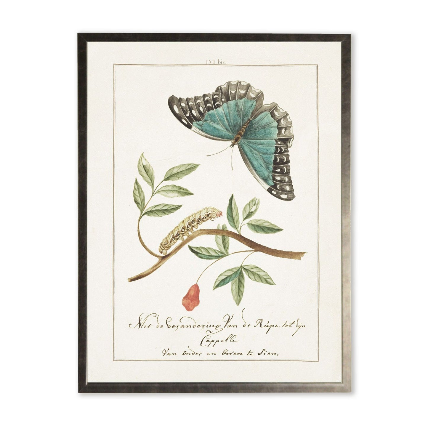 Butterfly and Caterpillar in Silver Frame