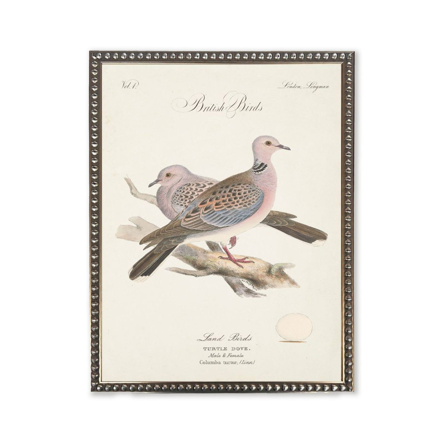 Turtle Doves in Silver-Beaded Frame