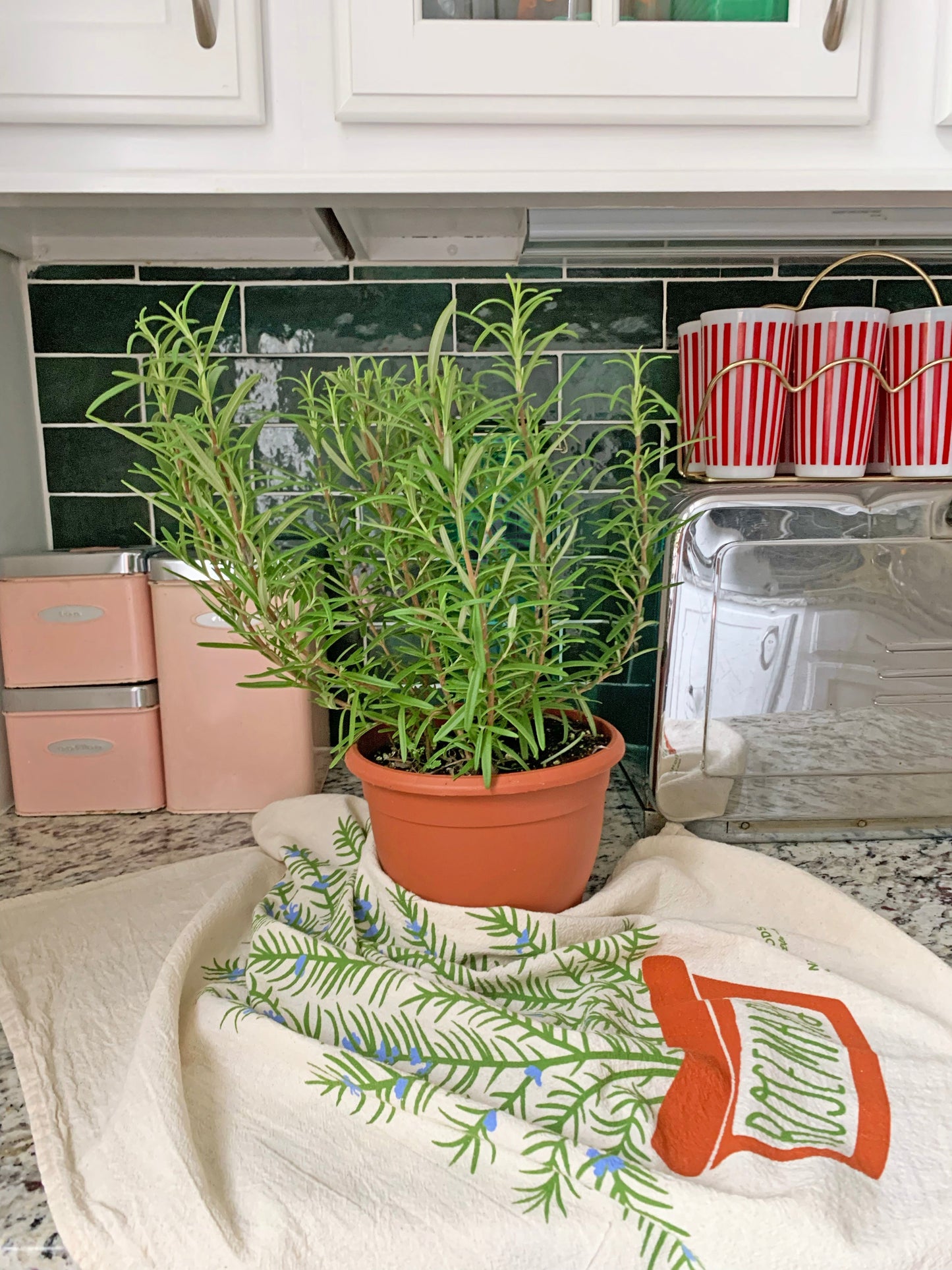 Rosemary Dish Towel