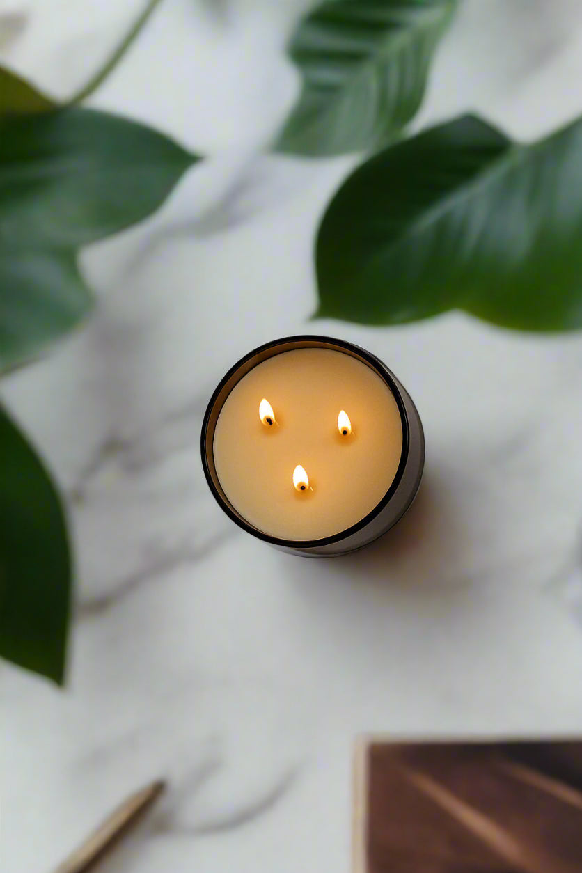 Lavender + Cedar - Signature 3-Wick Candle