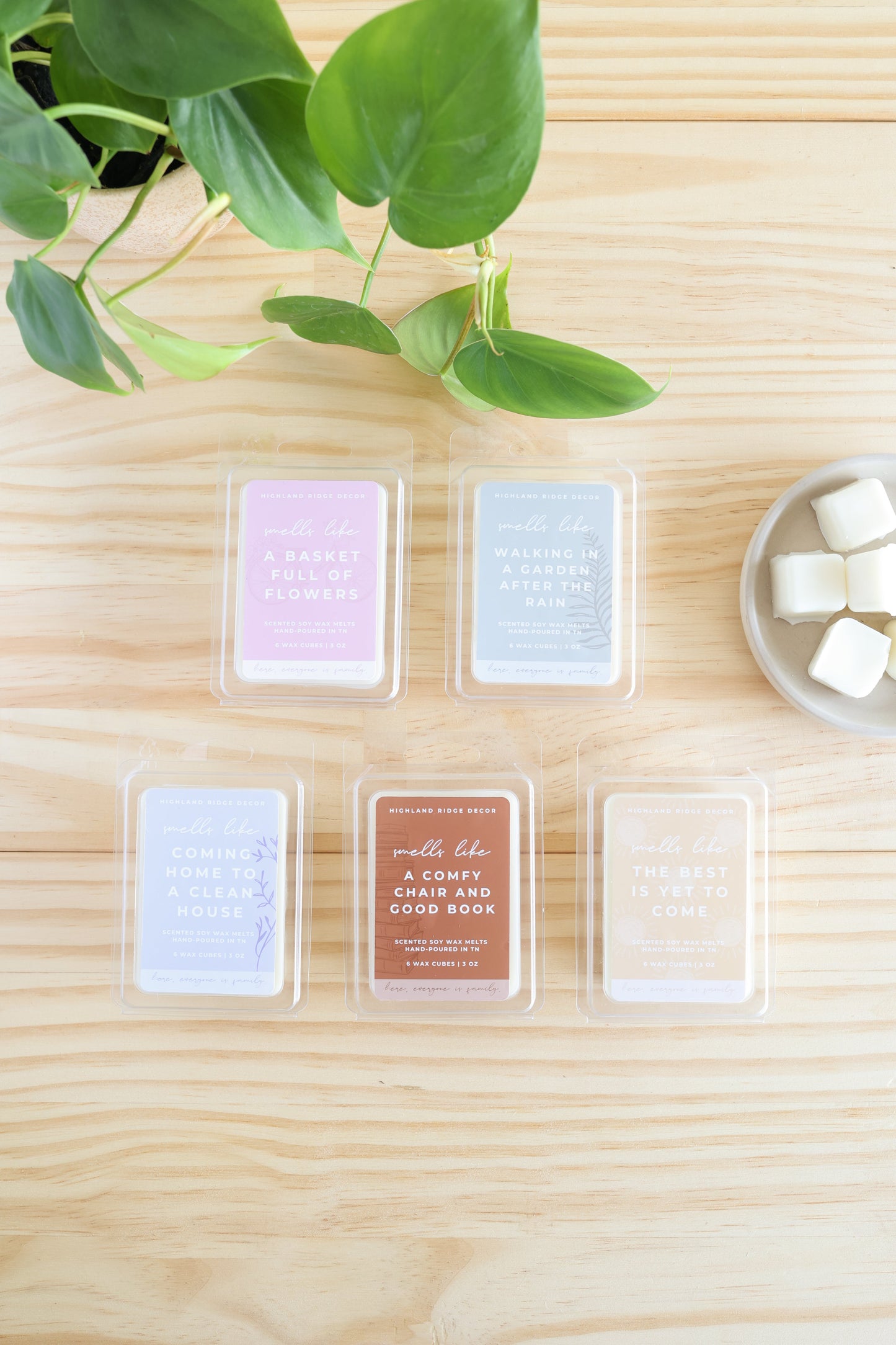 A Comfy Chair and Good Book Wax Melt