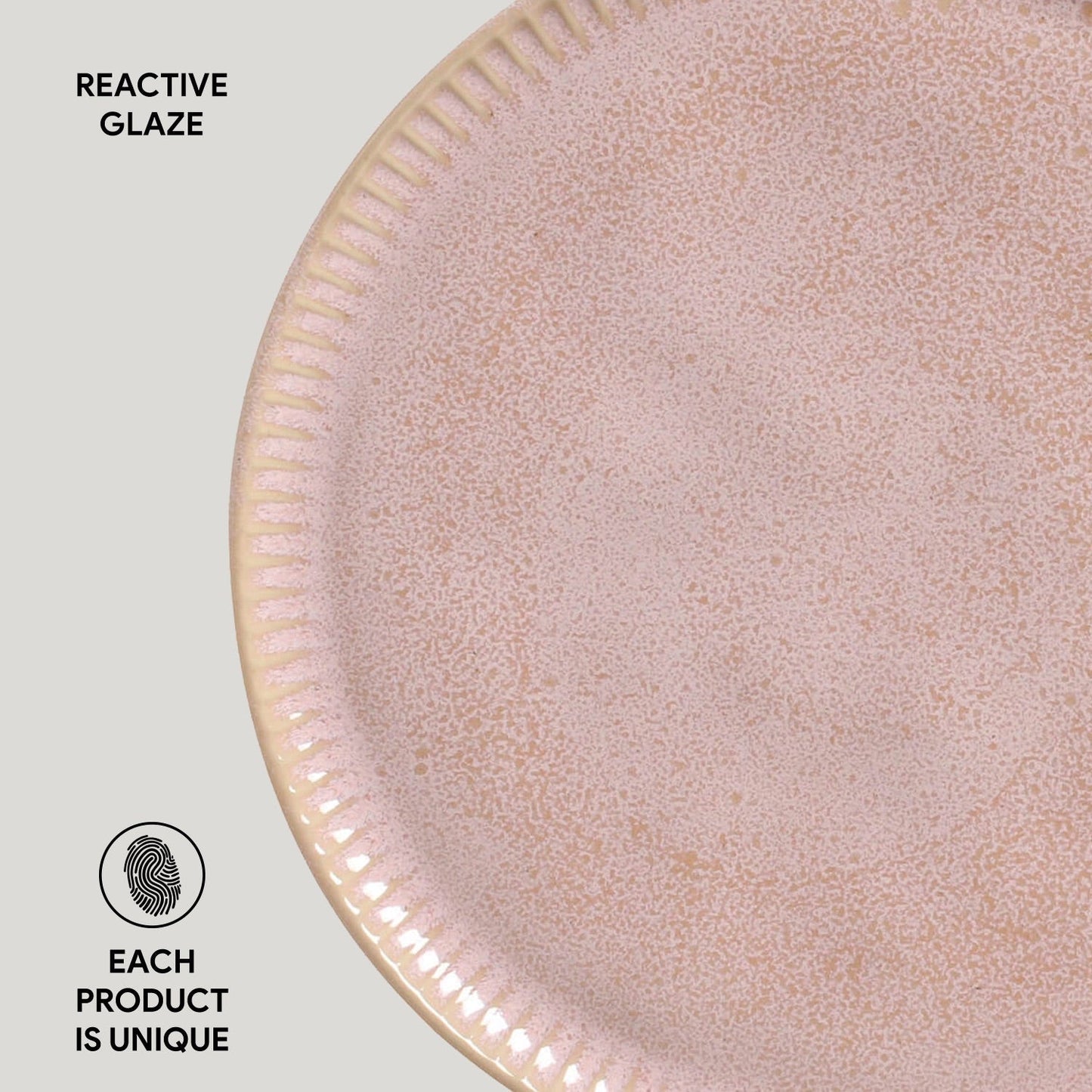 Dinner Plate Set of 6