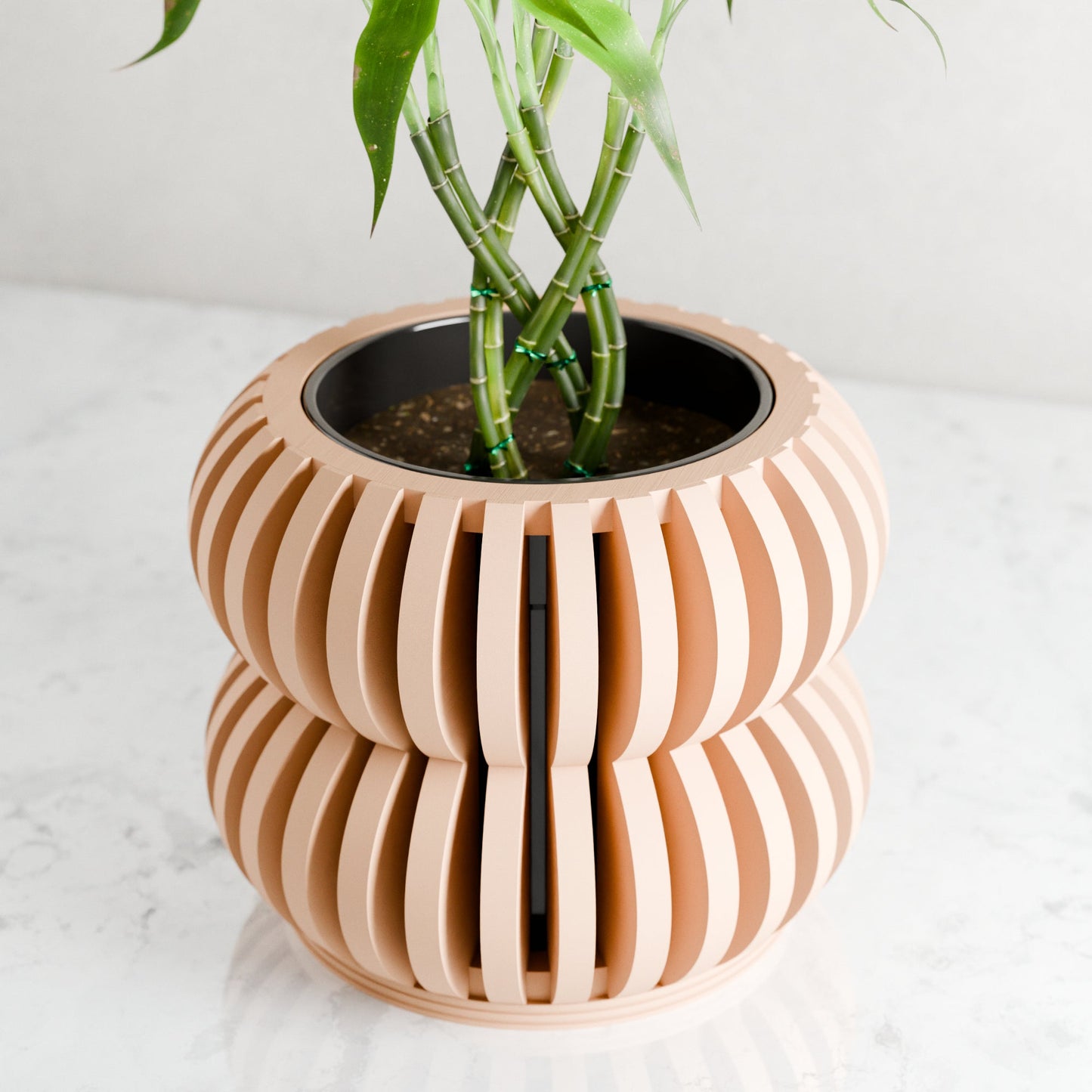 Orchid Planter DOUBLE BUBBLES