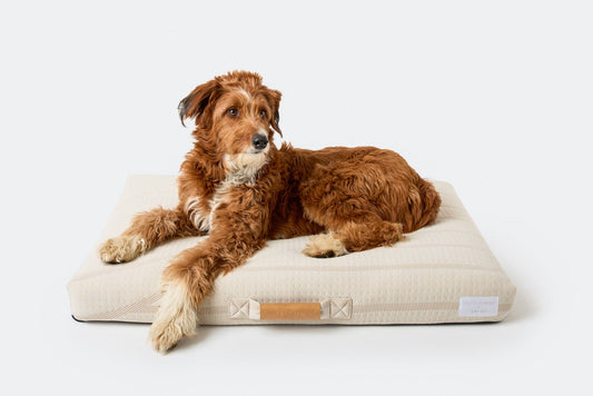Brigette Romanek | Cream Dog Bed or Bed Cover