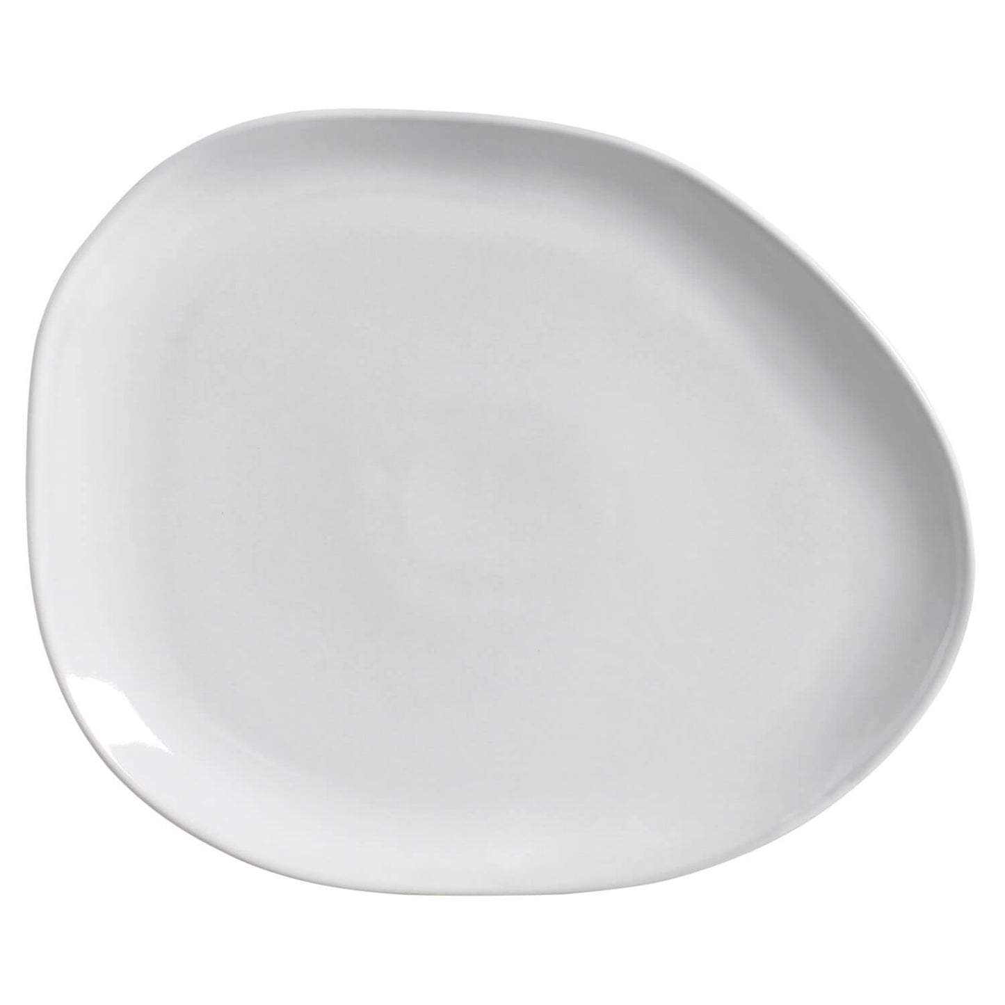 Oval Dinner Plate Set of 6