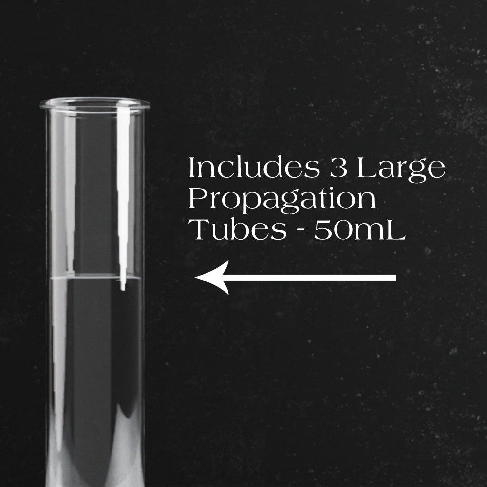 Dynamic Propagation Station