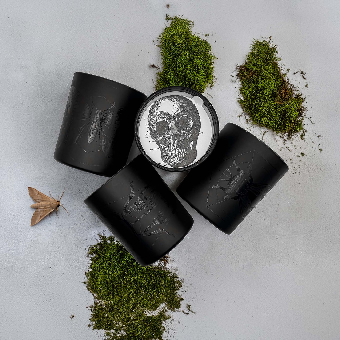 La Nuit - Insecta Noir Black Jar Candle 11oz