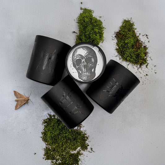 La Nuit - Insecta Noir Black Jar Candle 11oz