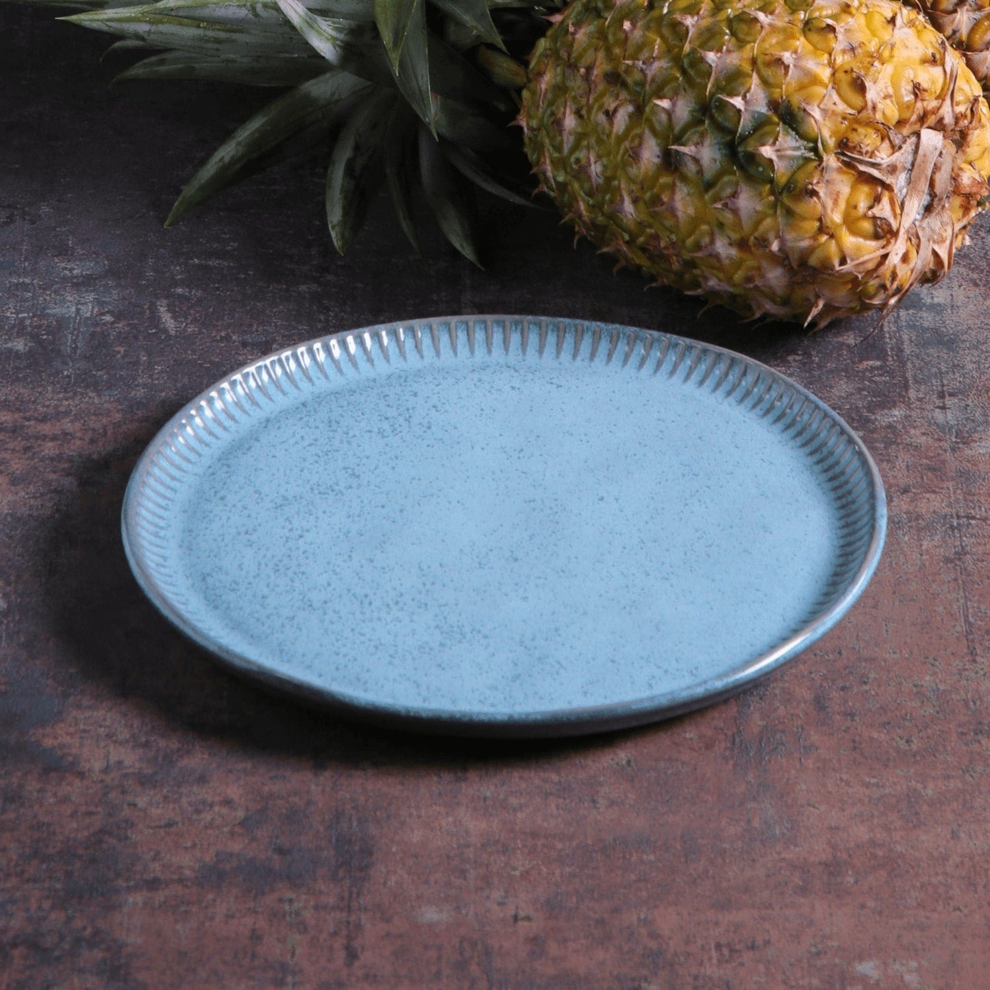 Dinner Plate Set of 4