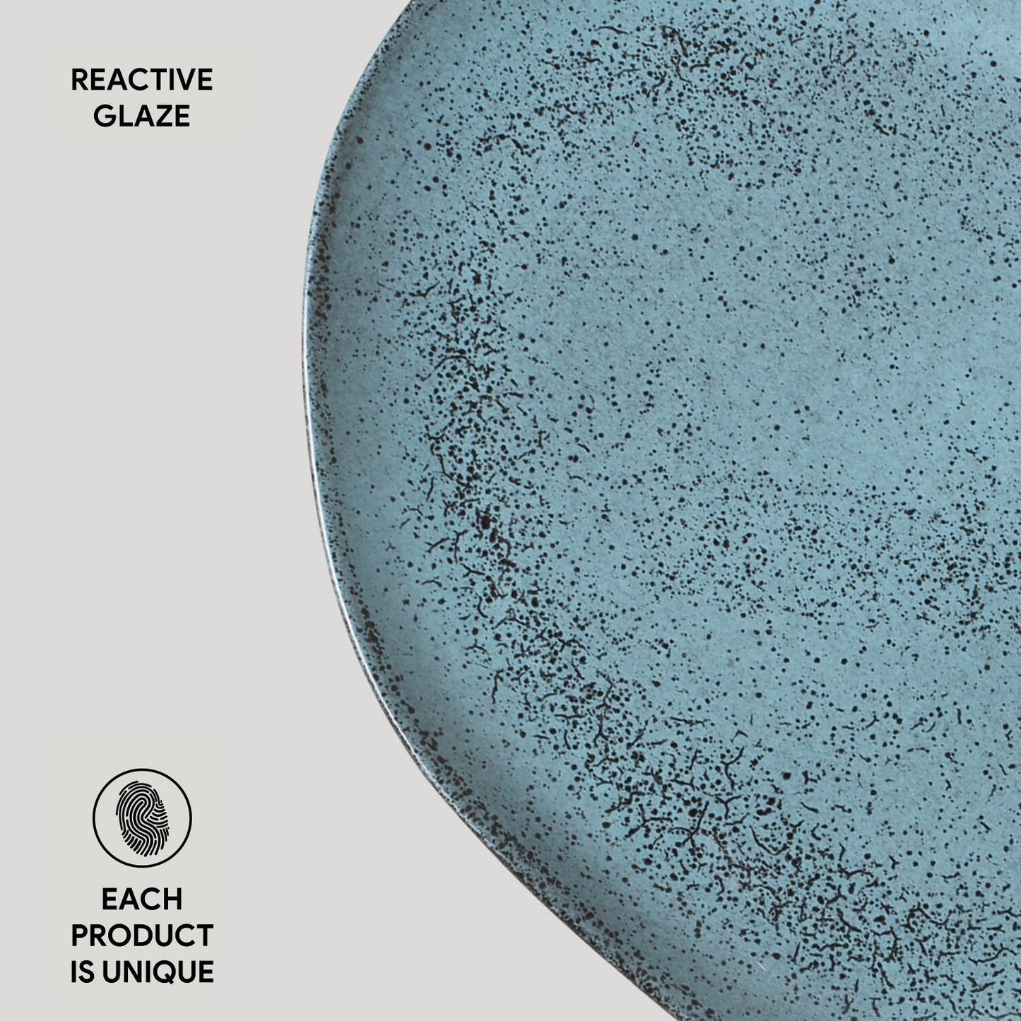 Oval Dinner Plate Set of 6