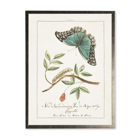 Butterfly and Caterpillar in Silver Frame