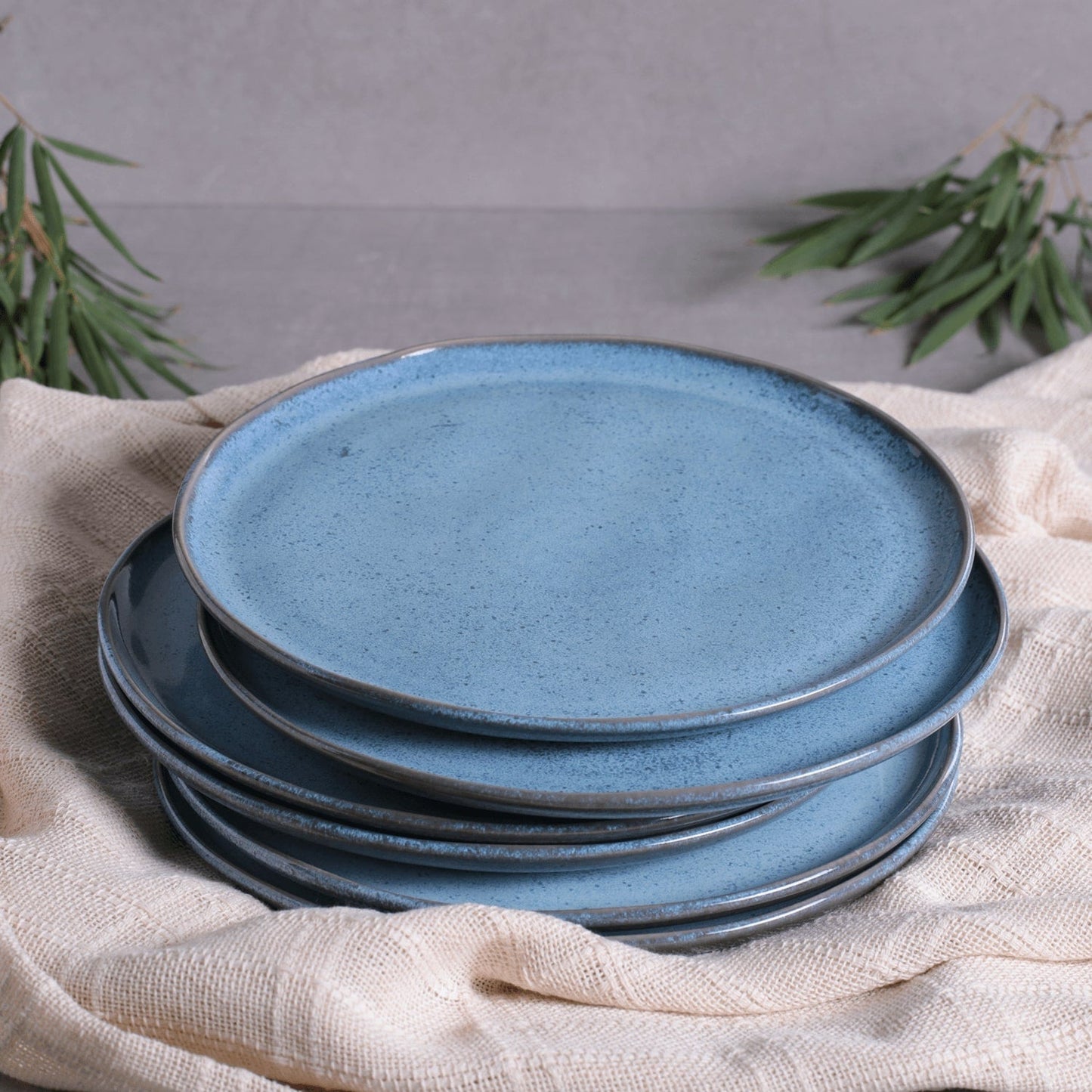 Dinner Plate Set of 6