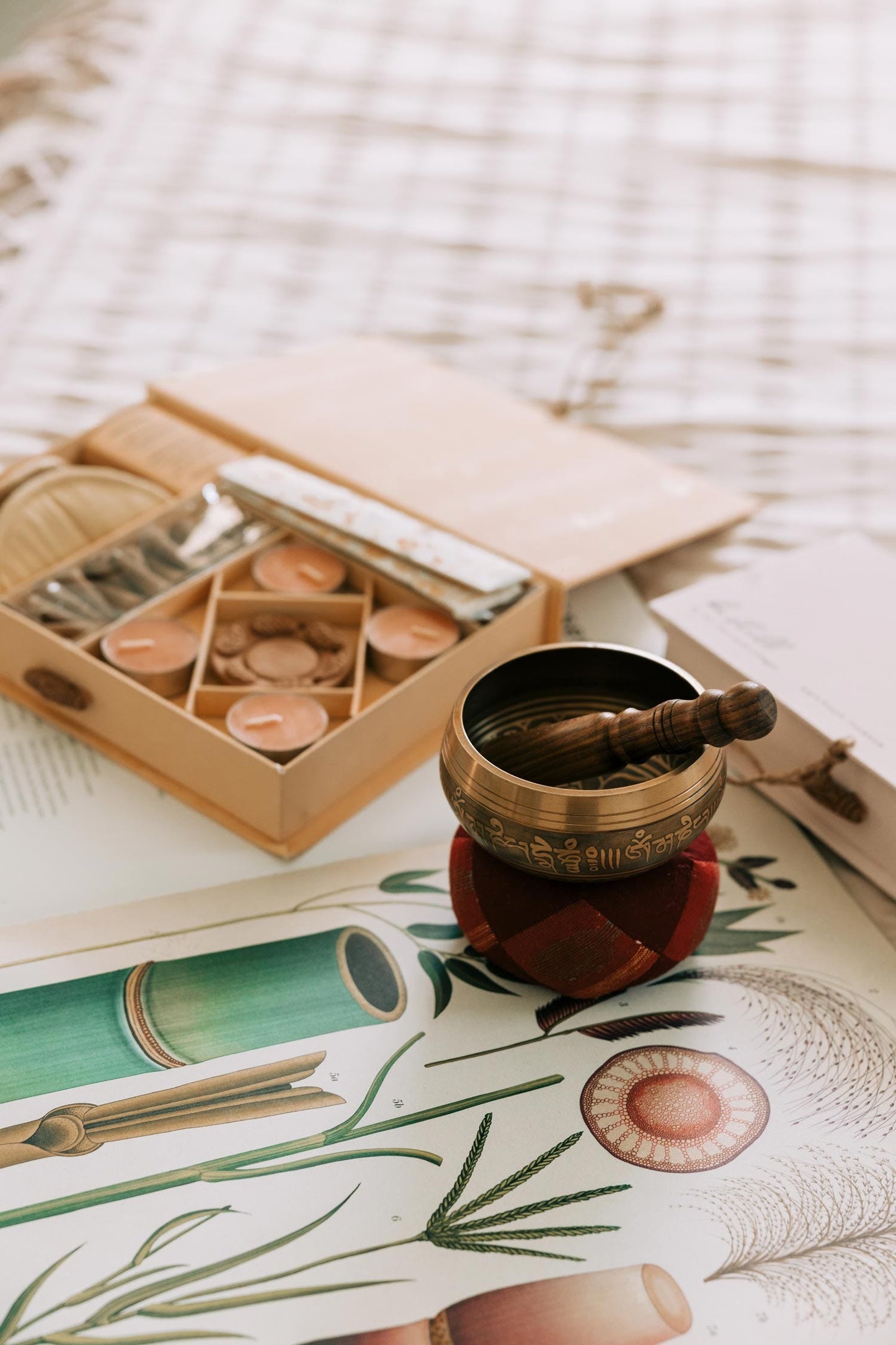 Calm Wisdom Singing Bowl