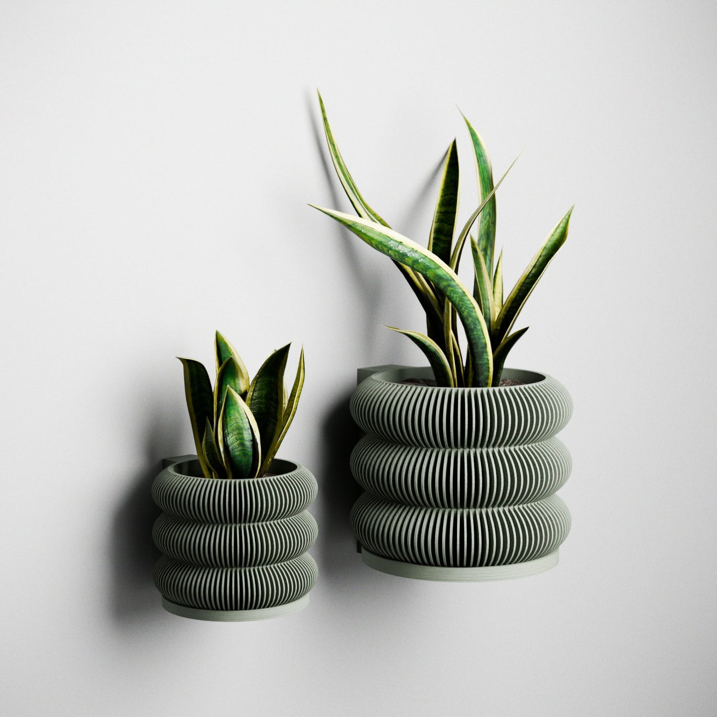 Wall Planter - Triple BUBBLES