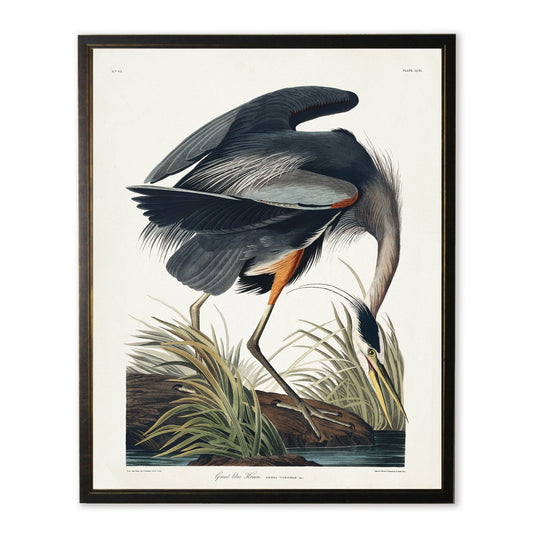 Black Heron in Black and Copper Frame