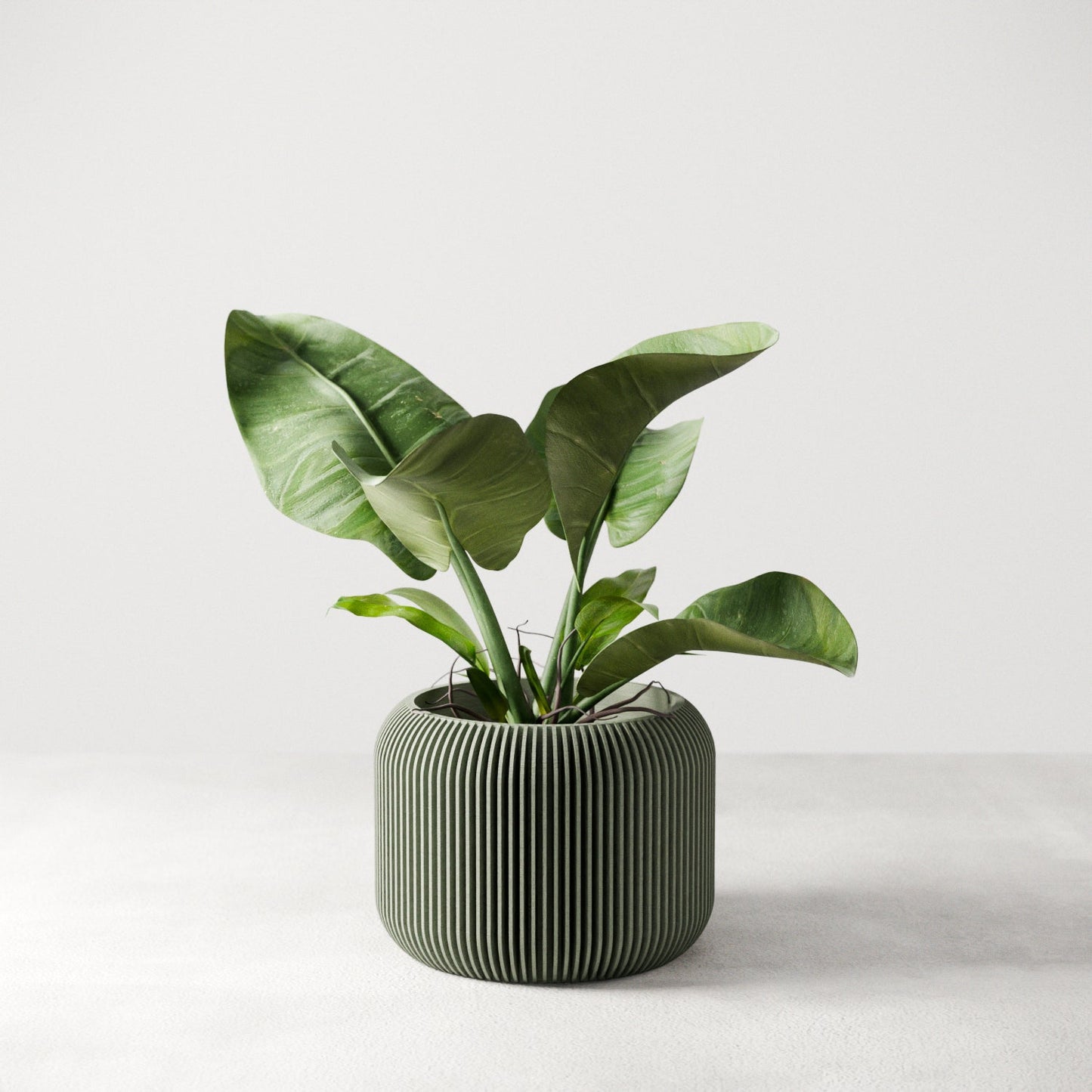Orbis Planter