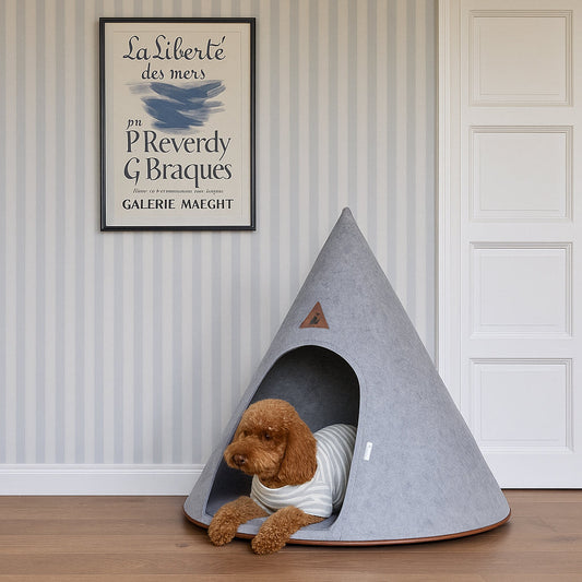 Nooee Pet Cave Molly  (XL) – Gray