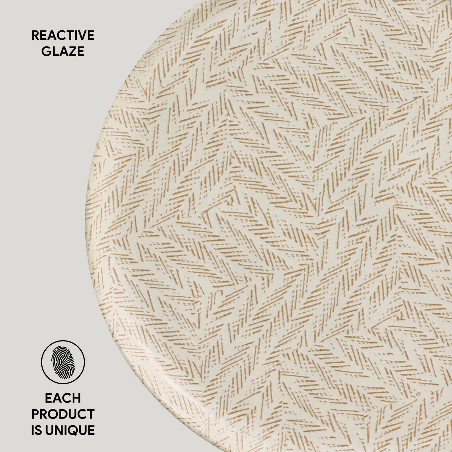 Dinner Plate Set of 6