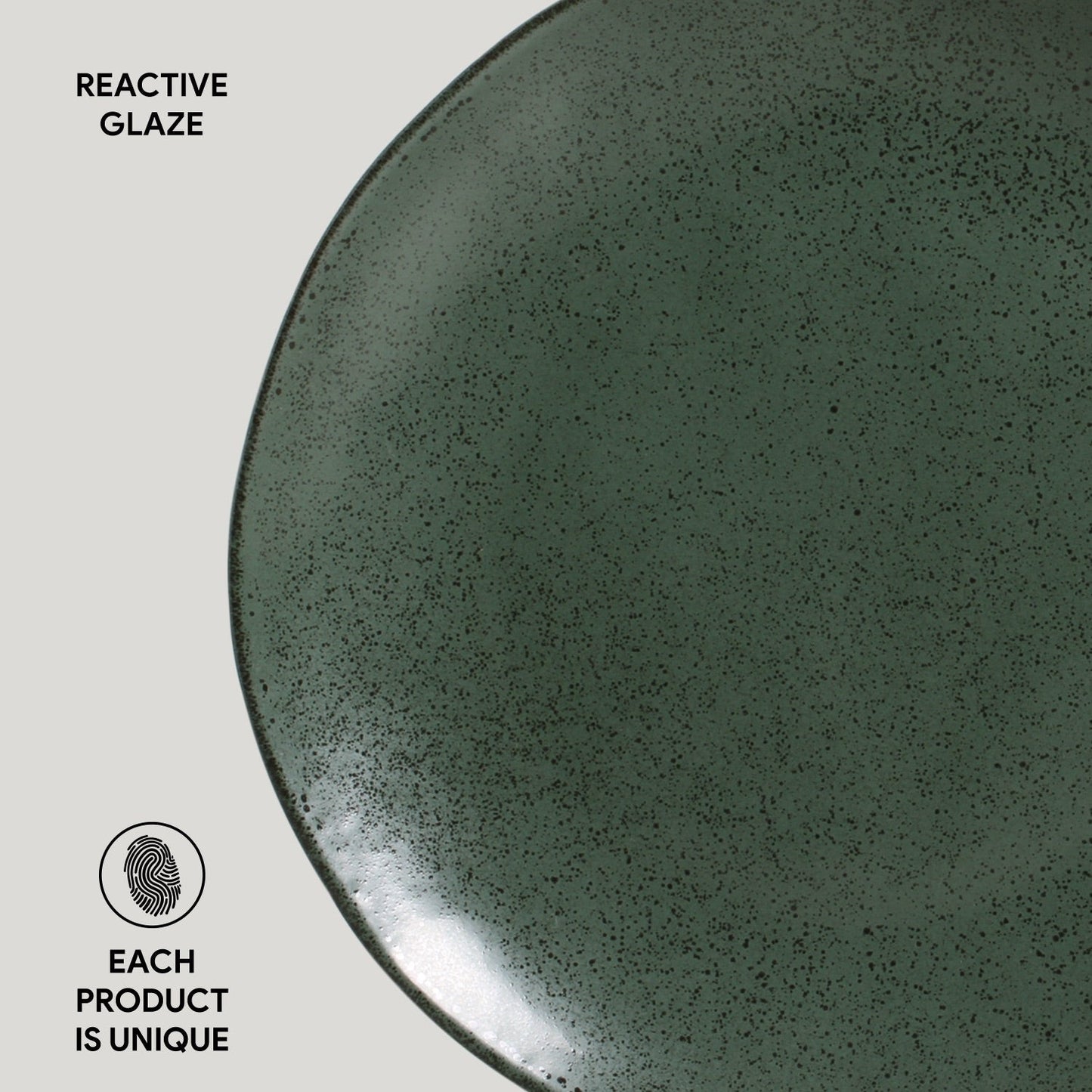 Dinner Plate Set of 4