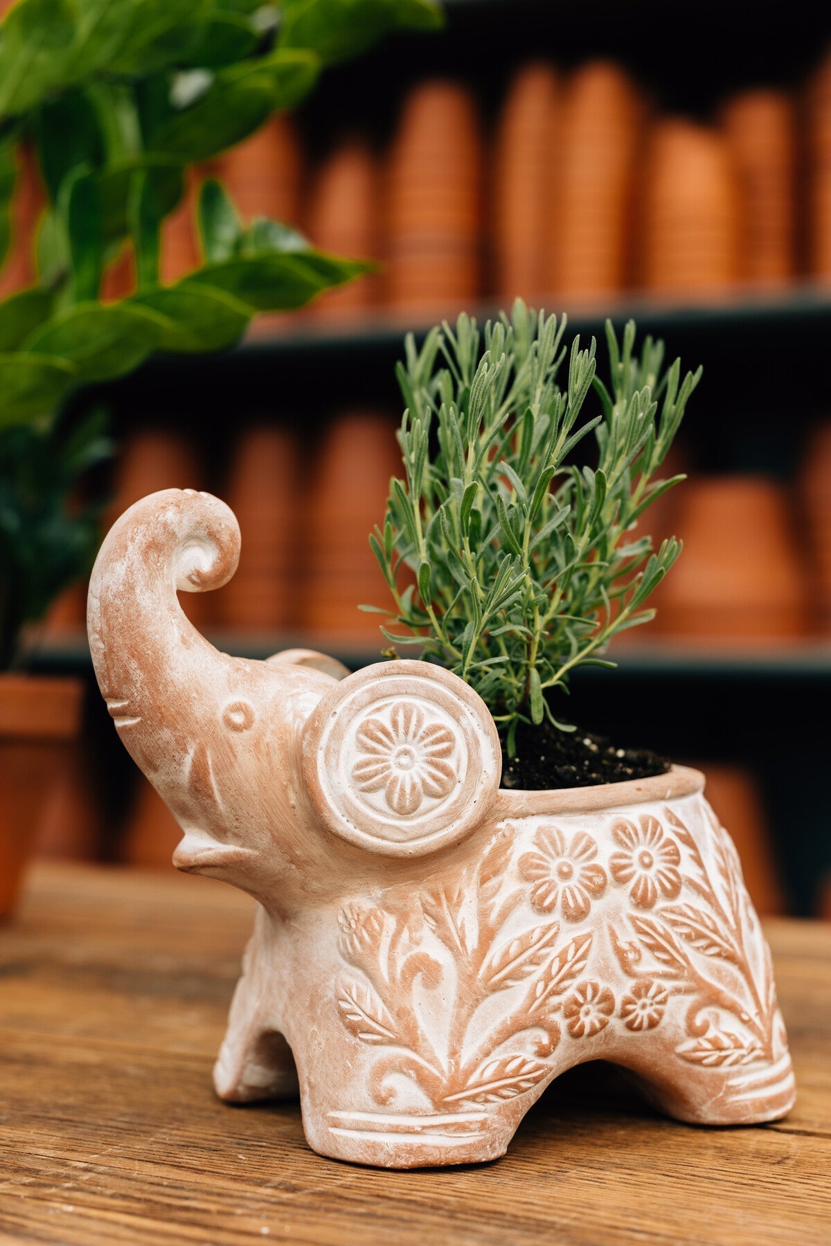Trumpeting Elephant Planter