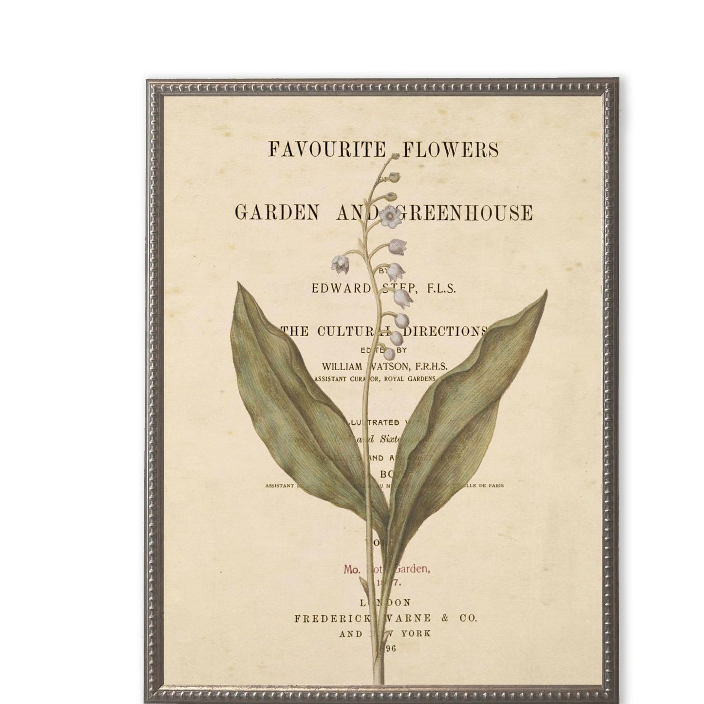 White Flowers on Book Page in Silver-Beaded Frame