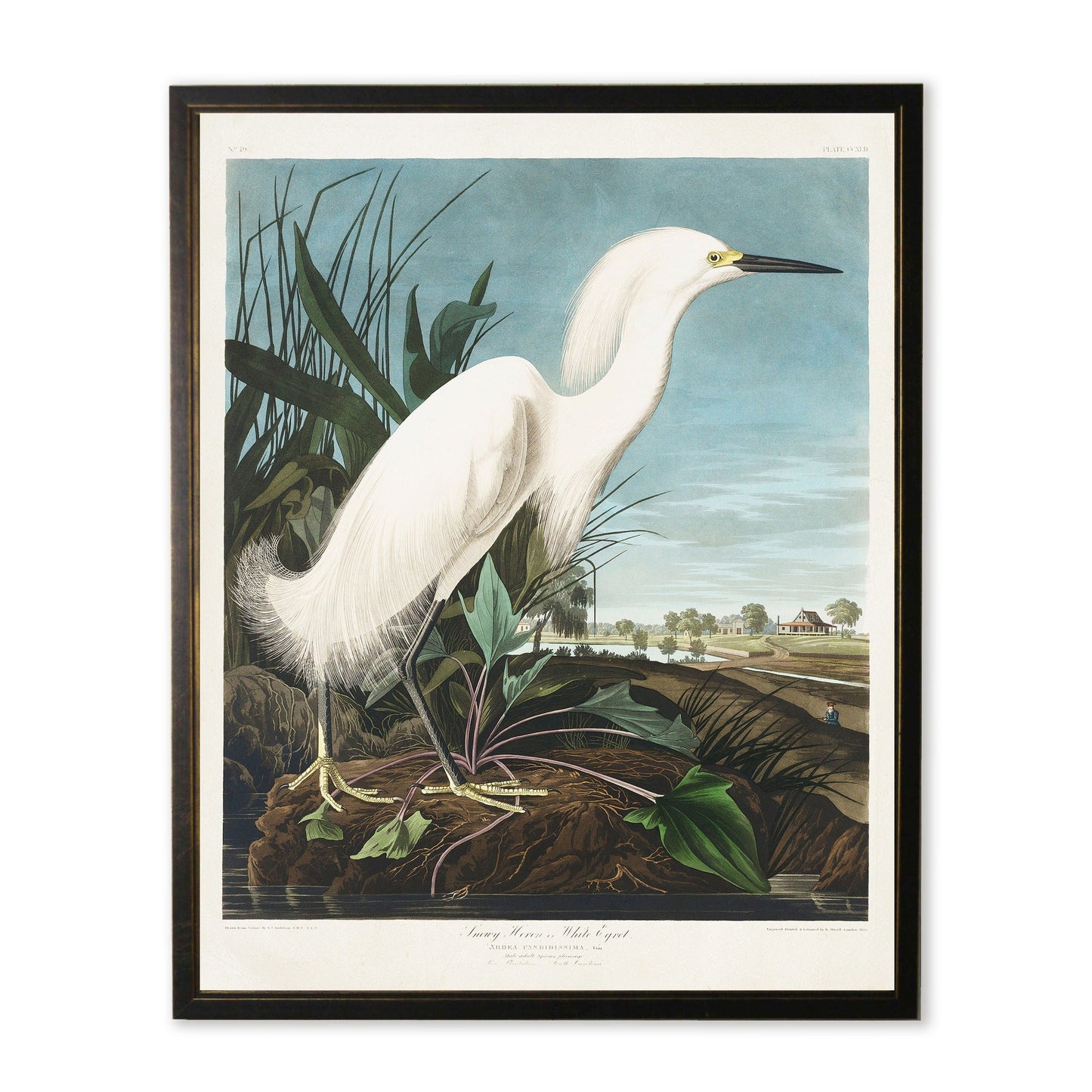 White Heron in Black and Copper Frame