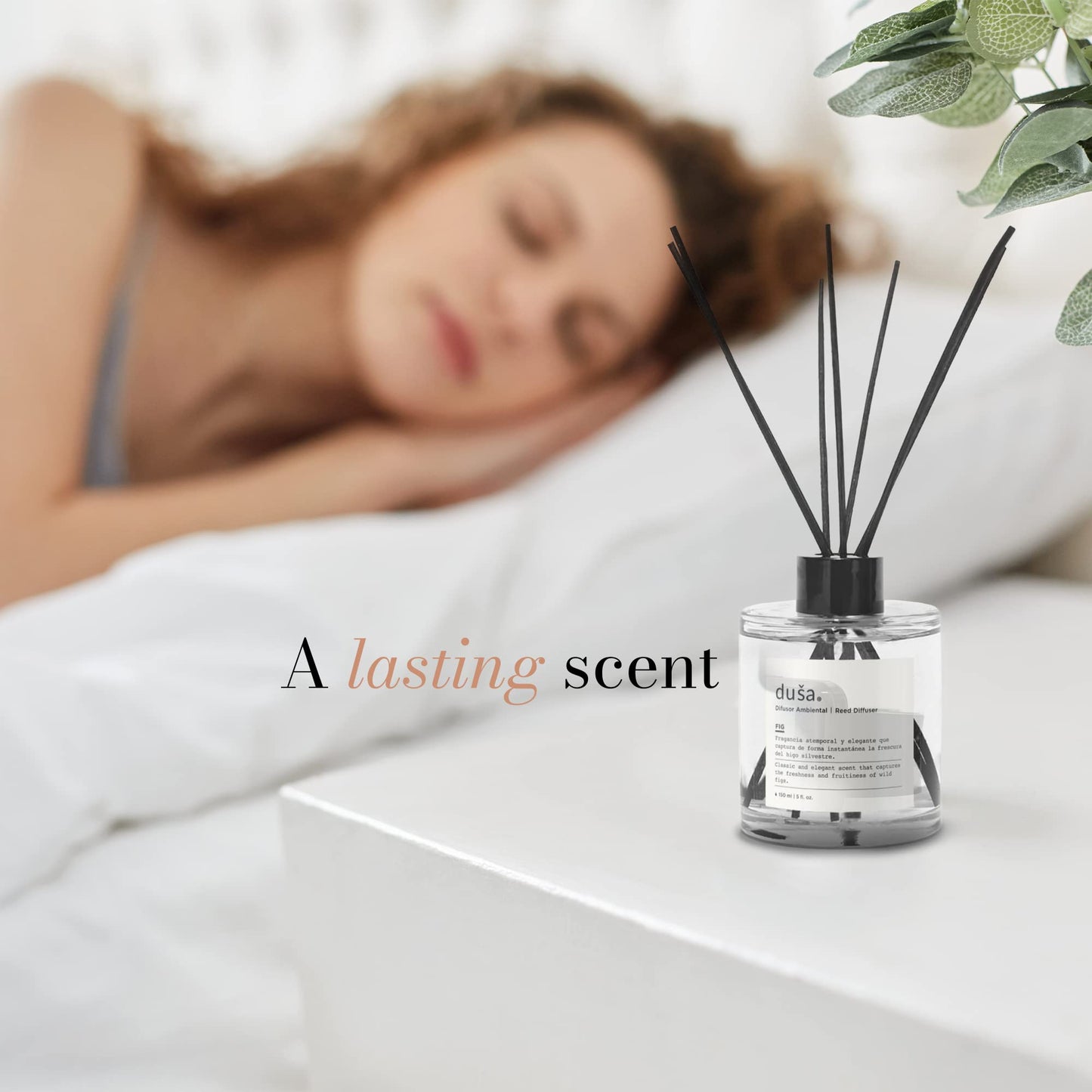 SANTAL -  5 FL OZ REED DIFFUSER