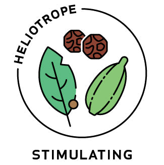 Essential Oil Blend Stimulating (Black Pepper Cardamom Bay Laurel)