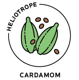 Essential Oil - Cardamom