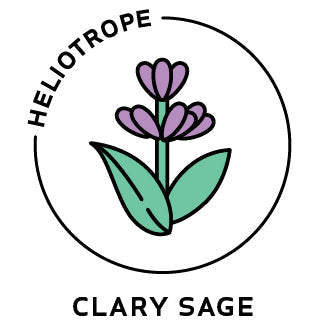 Essential Oil - Clary Sage