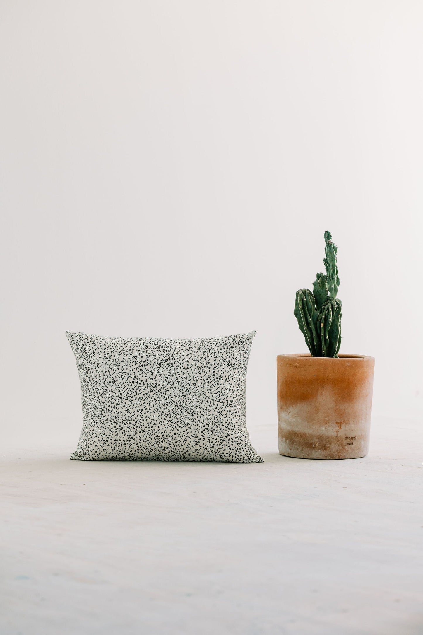 Basilone in Albatross 16" x 20" Pillow