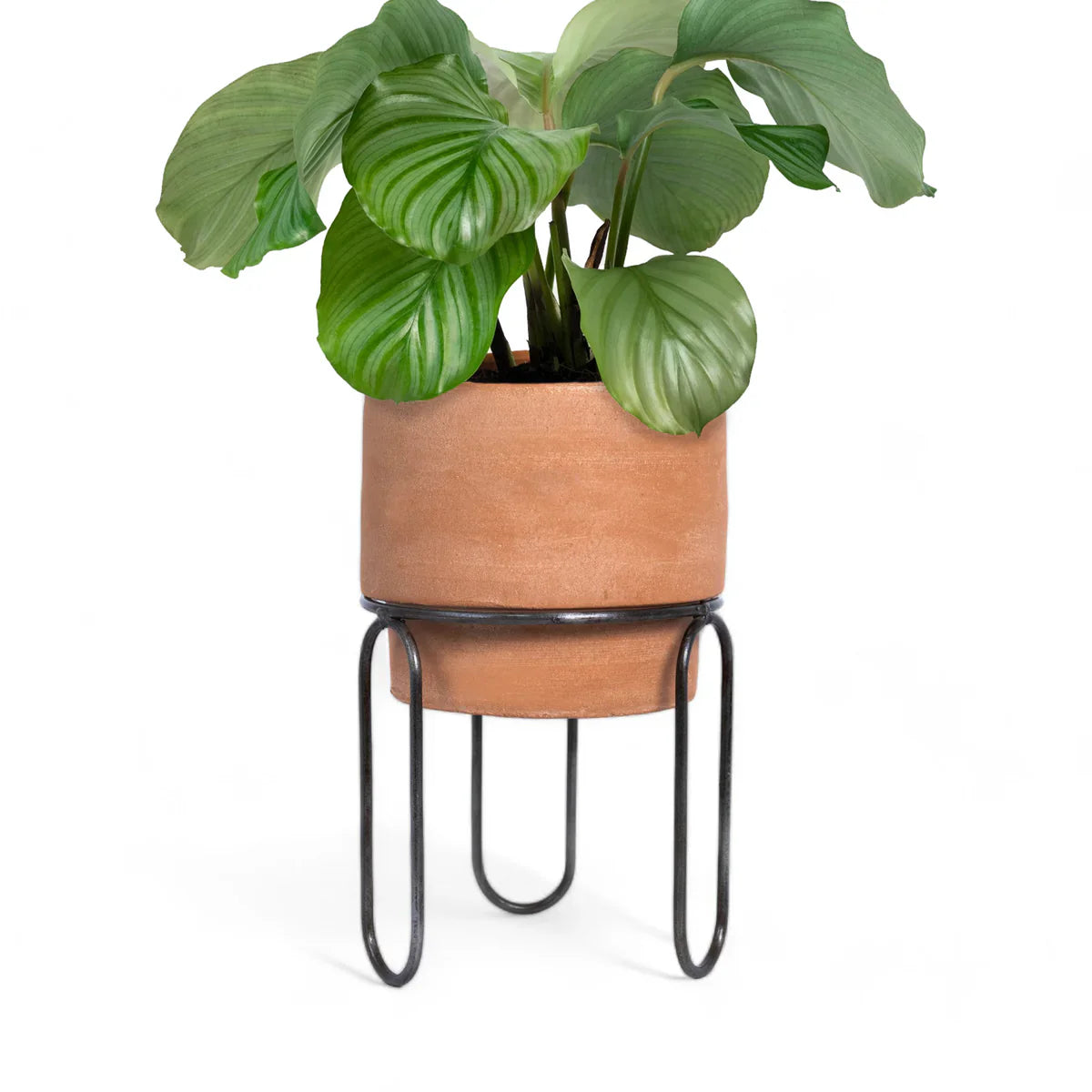 Jaro Small Terracotta Planter