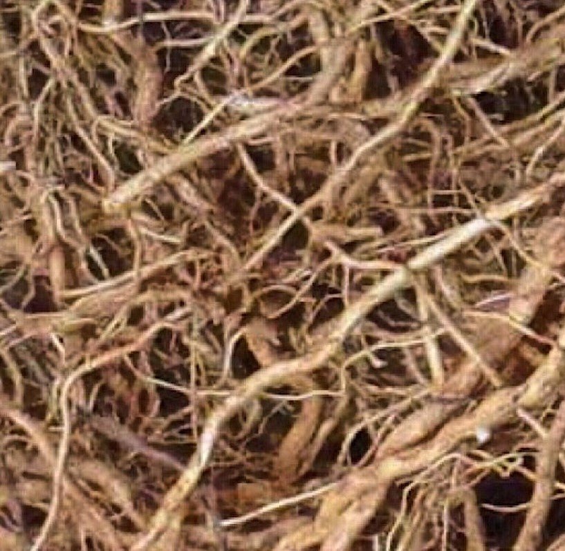 Still Earth: Vetiver + Sandalwood - Botanical Scent Balm