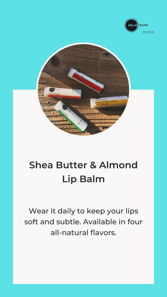 Shea Butter & Almond Lip Balm