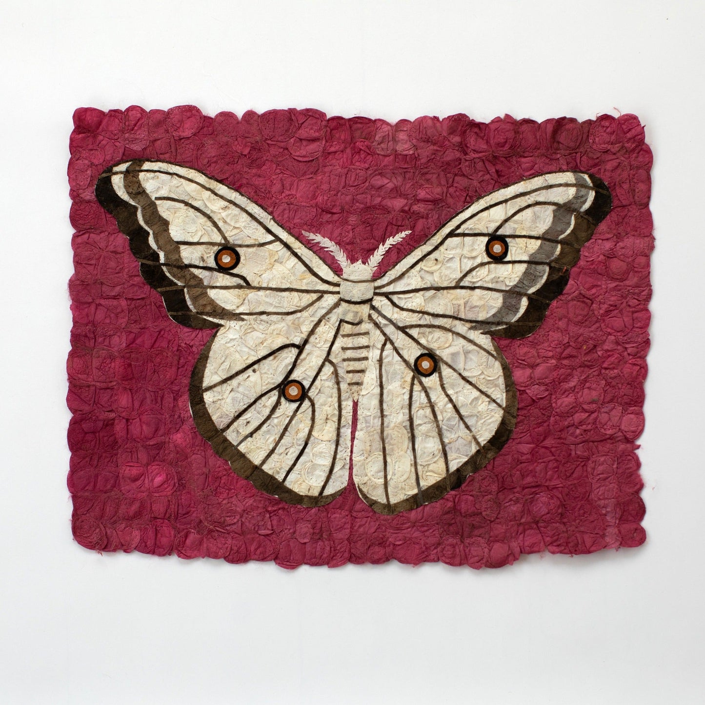 Wild Silk Moth Wall Art - Pink