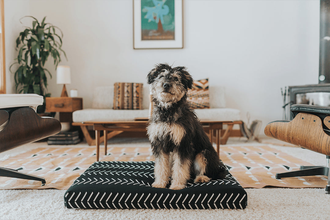 Black Chevron | Boho Dog Bed or Bed Cover