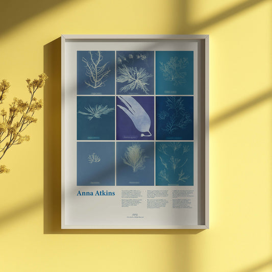 Anna Atkins Cyanotype Print