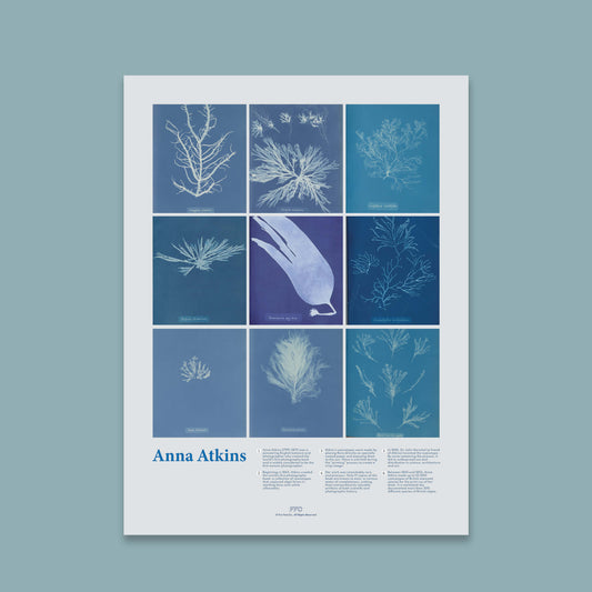 Anna Atkins Cyanotype Print
