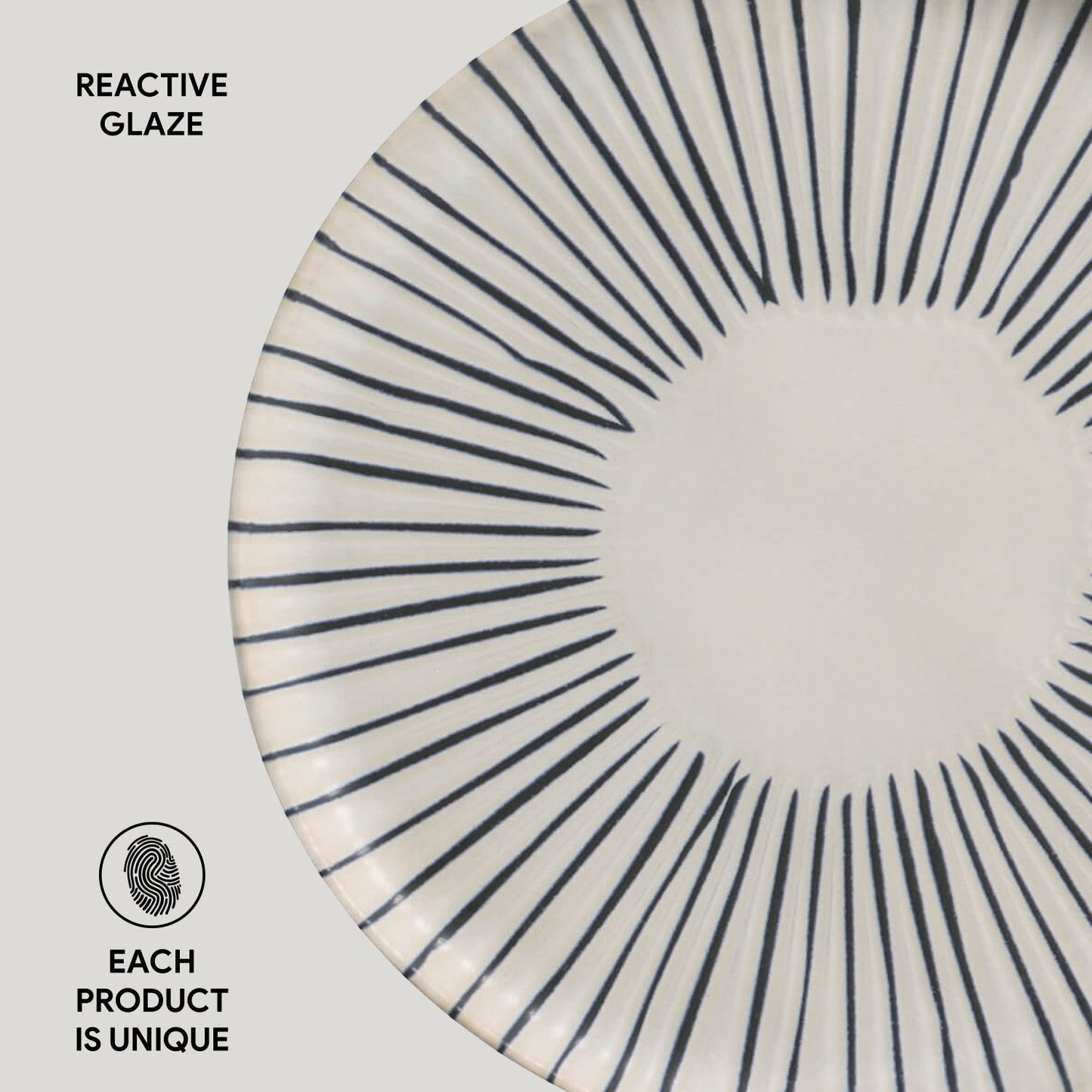 Dinner Plate Set of 6