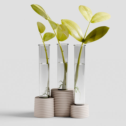 Triple Bubble Propagation Station