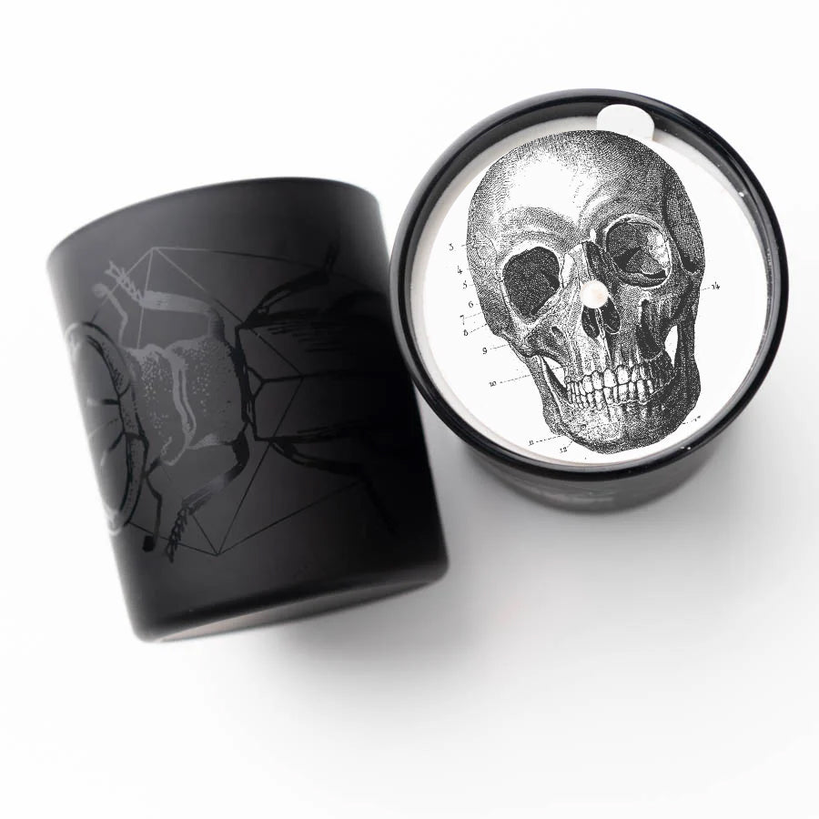 La Nuit - Insecta Noir Black Jar Candle 11oz
