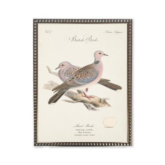 Turtle Doves in Silver-Beaded Frame