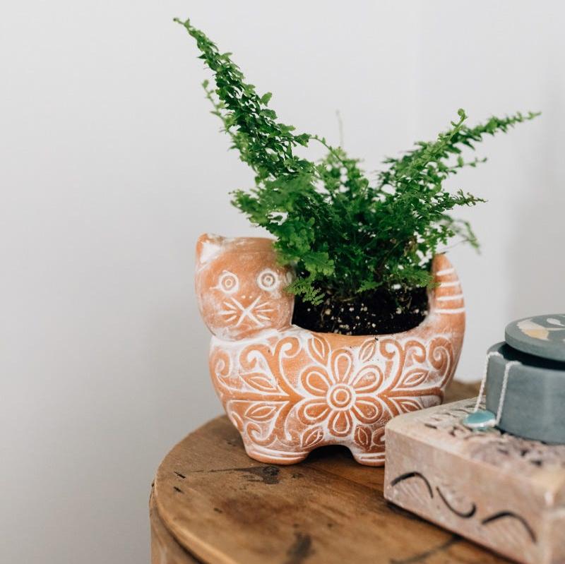 Garden Kitty Planter