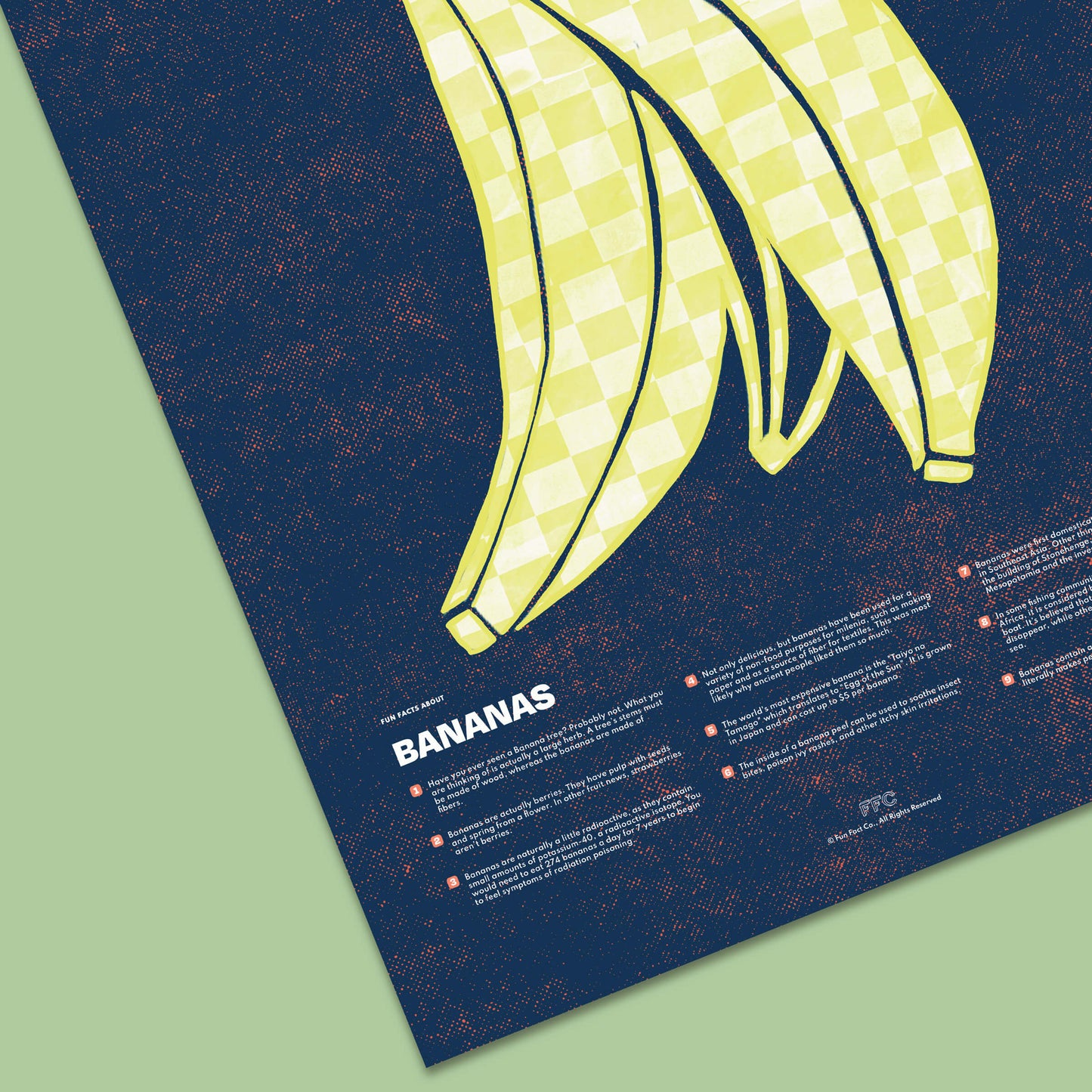 Banana Fun Facts Print