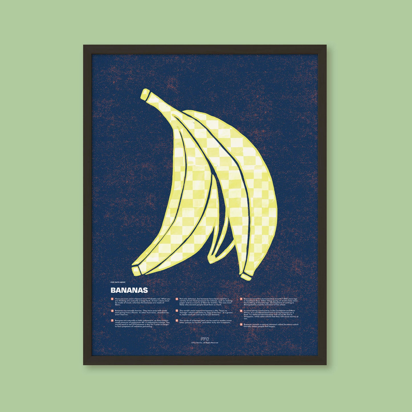 Banana Fun Facts Print