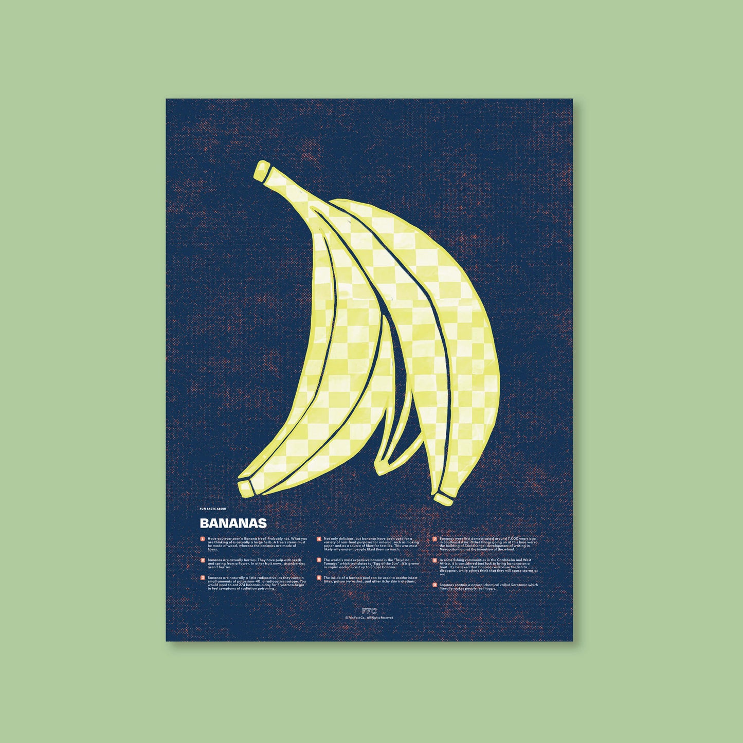 Banana Fun Facts Print