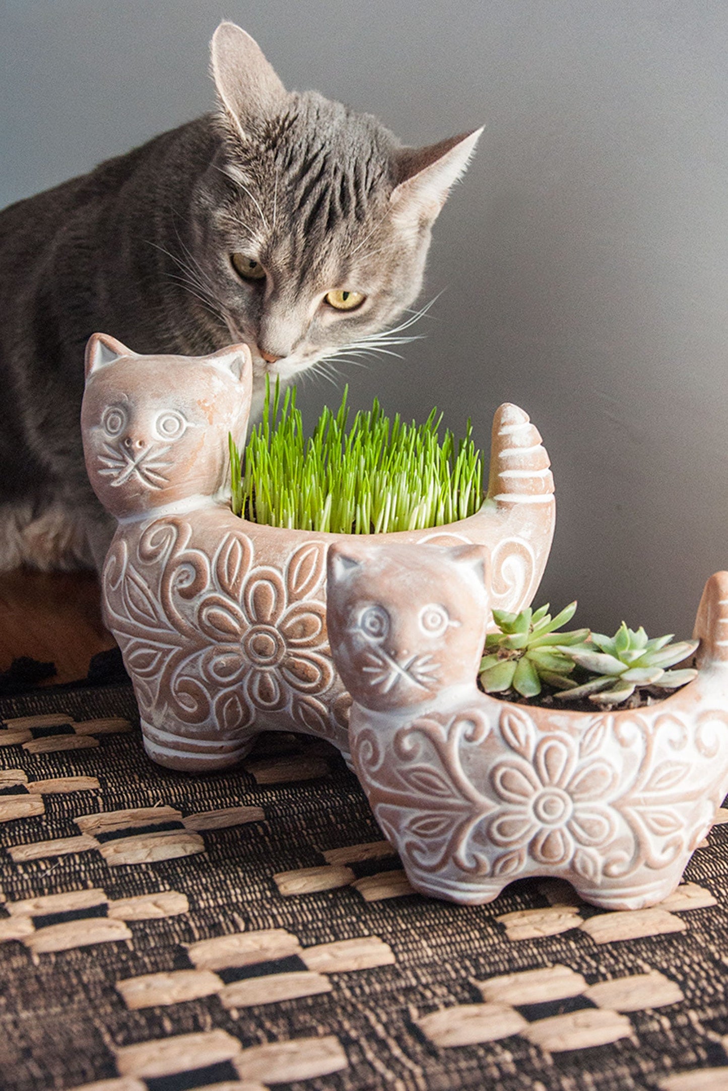 Garden Kitty Planter