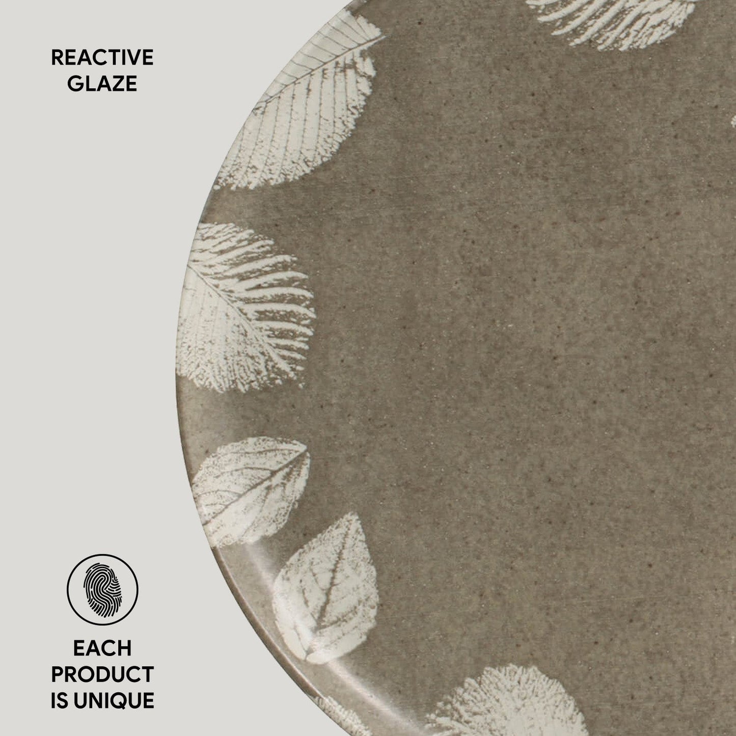 Dinner Plate Set of 6